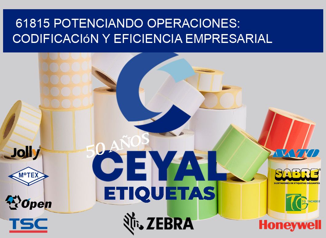 61815 Potenciando Operaciones: Codificación y Eficiencia Empresarial