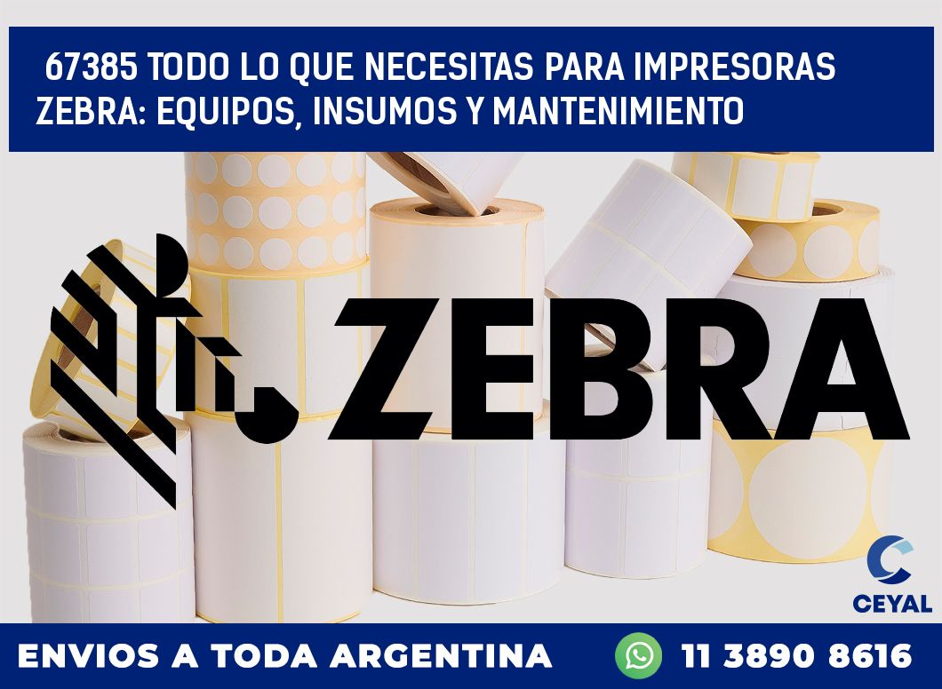 67385 TODO LO QUE NECESITAS PARA IMPRESORAS ZEBRA: EQUIPOS, INSUMOS Y MANTENIMIENTO