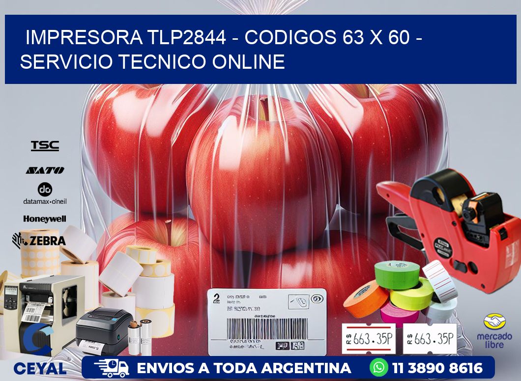 IMPRESORA TLP2844 - CODIGOS 63 x 60 - SERVICIO TECNICO ONLINE