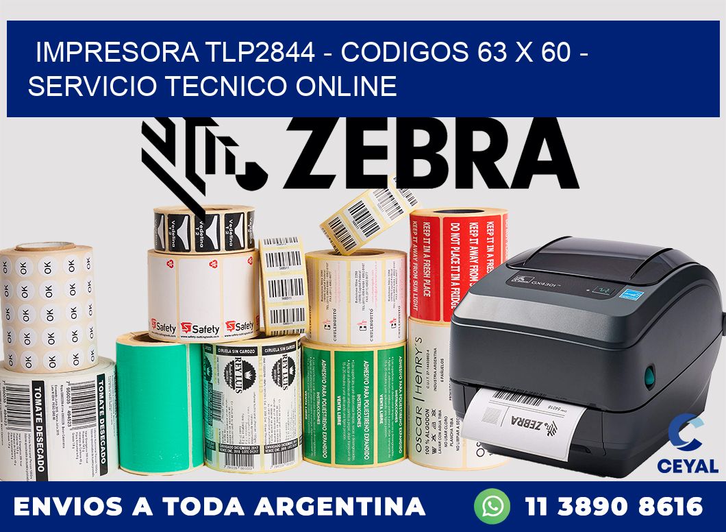 IMPRESORA TLP2844 - CODIGOS 63 x 60 - SERVICIO TECNICO ONLINE