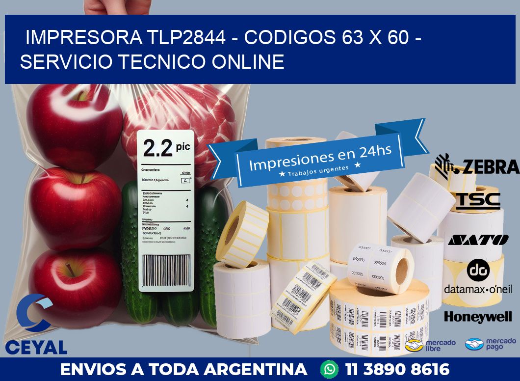 IMPRESORA TLP2844 – CODIGOS 63 x 60 – SERVICIO TECNICO ONLINE
