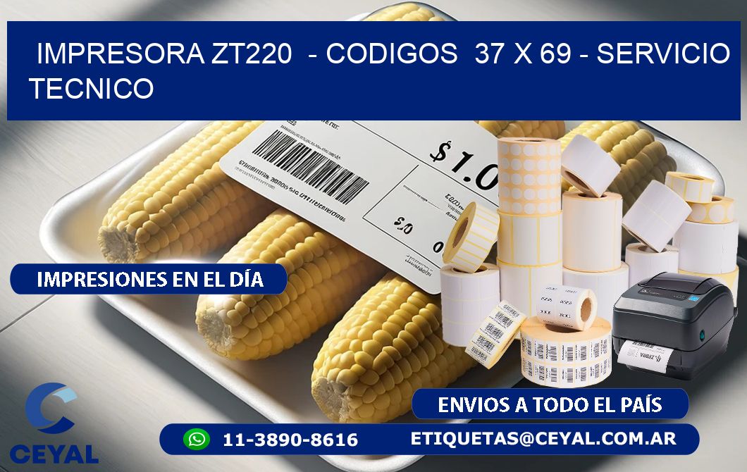 IMPRESORA ZT220  - CODIGOS  37 x 69 - SERVICIO TECNICO