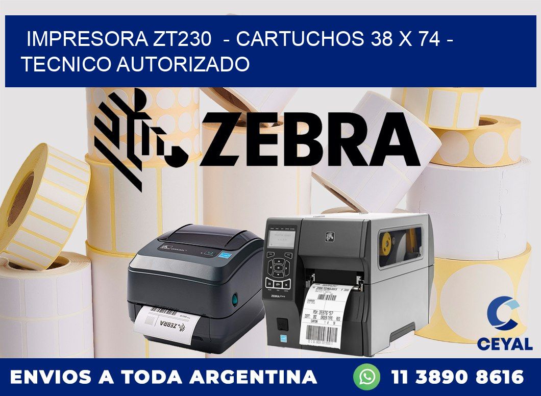 IMPRESORA ZT230  - CARTUCHOS 38 x 74 - TECNICO AUTORIZADO