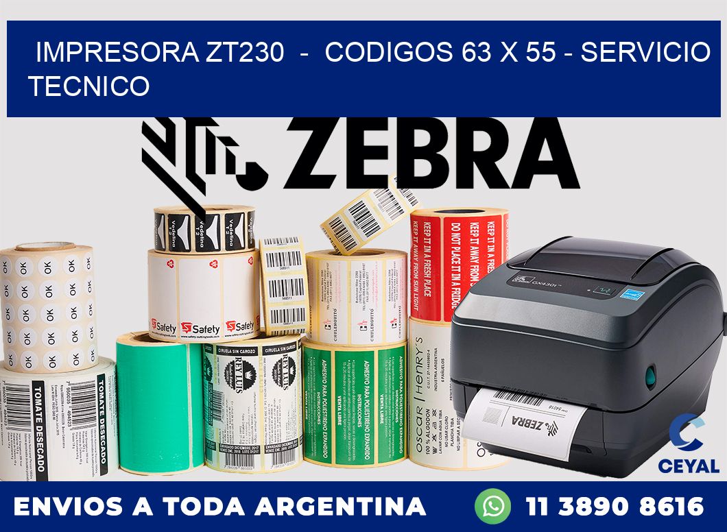 IMPRESORA ZT230  -  CODIGOS 63 x 55 - SERVICIO TECNICO