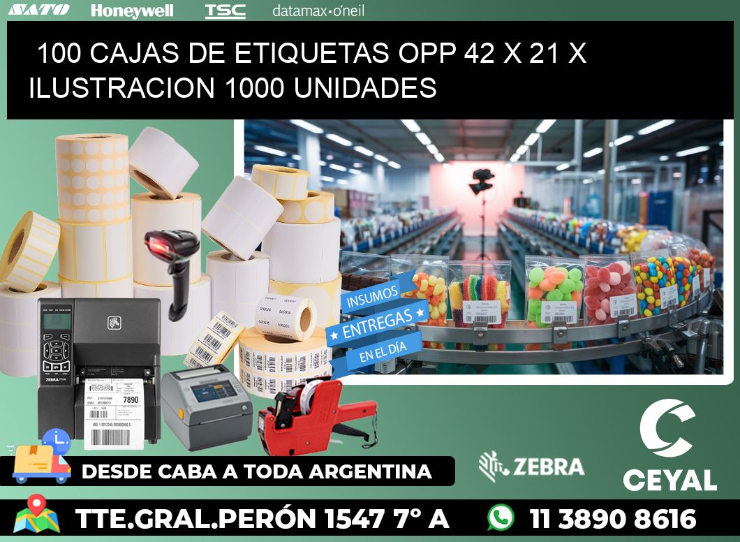 100 CAJAS DE ETIQUETAS OPP 42 x 21 X ILUSTRACION 1000 UNIDADES