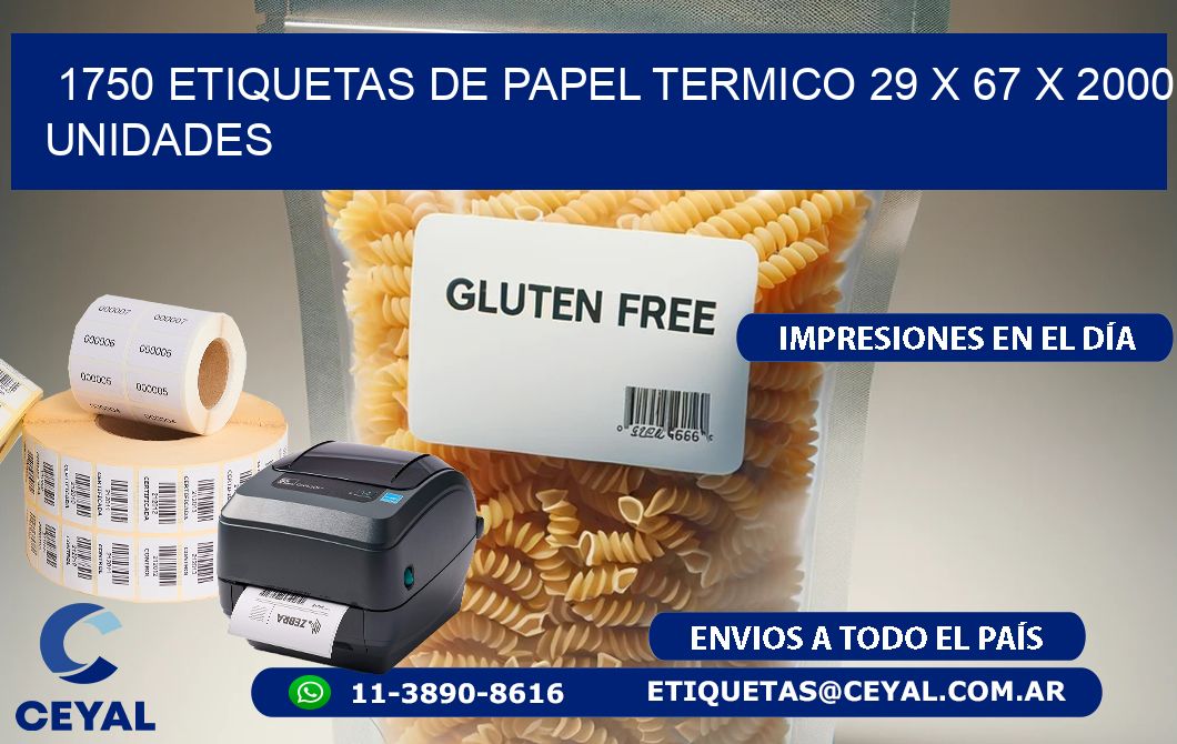 1750 ETIQUETAS DE PAPEL TERMICO 29 x 67 X 2000 UNIDADES