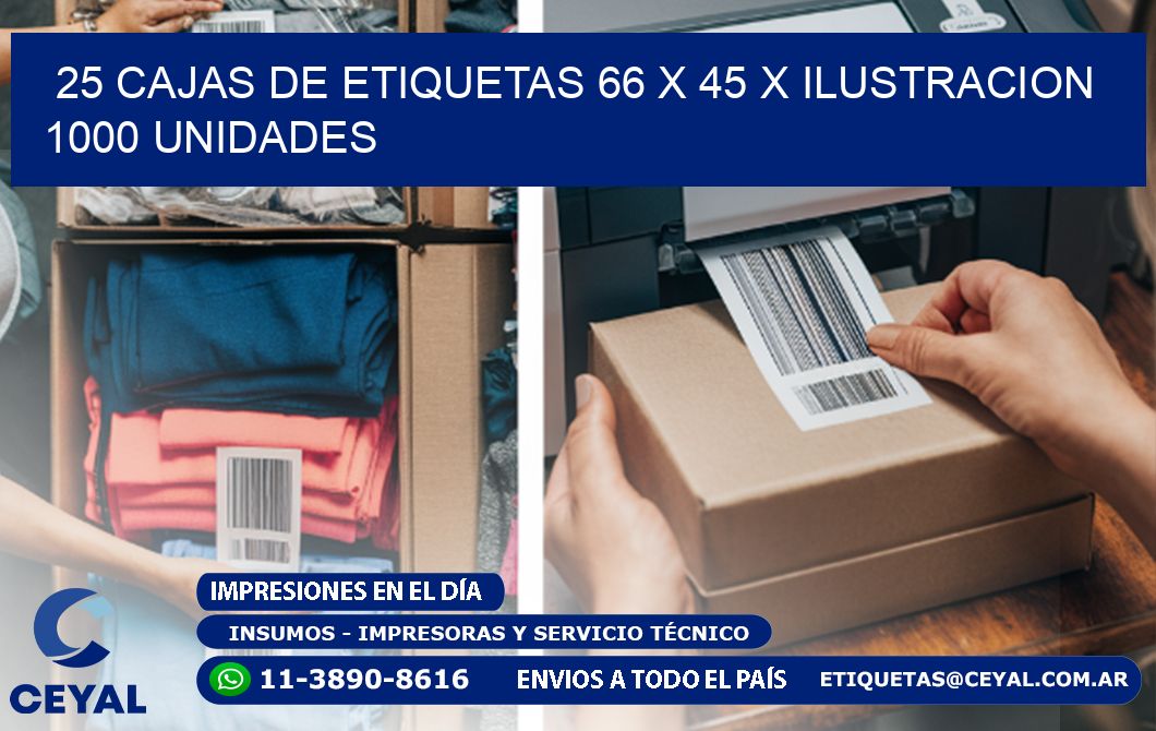 25 CAJAS DE ETIQUETAS 66 x 45 X ILUSTRACION 1000 UNIDADES