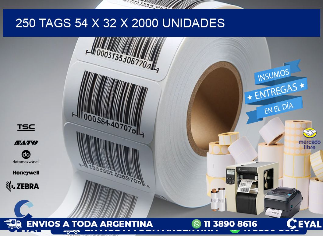 250 TAGS 54 x 32 X 2000 UNIDADES