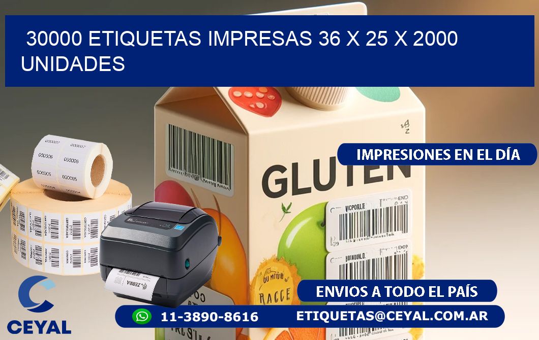 30000 ETIQUETAS IMPRESAS 36 x 25 X 2000 UNIDADES