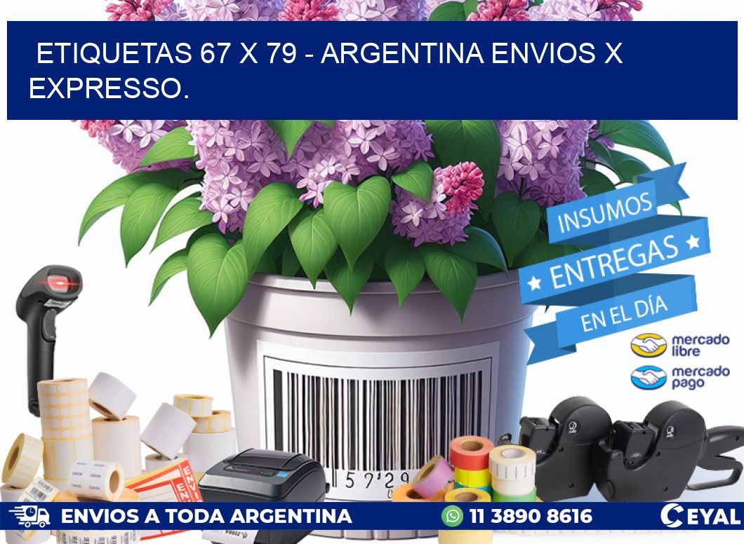 ETIQUETAS 67 x 79 - ARGENTINA ENVIOS X EXPRESSO.